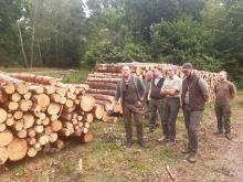 Szkolenie z pomiaru drewna