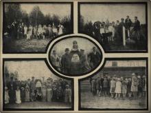 100-lecie gradacji strzygoni choinówki w Puszczy Noteckiej
