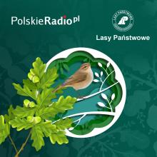 Podcast - Dwa wieki polskości leśnego munduru