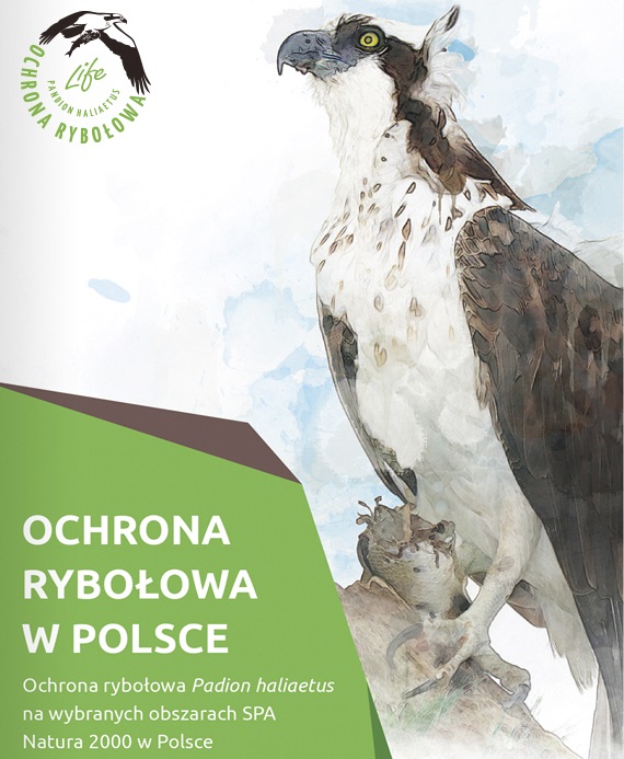 Ochrona rybołowa Pandion haliaetus na wybranych obszarach SPA Natura 2000 w Polsce