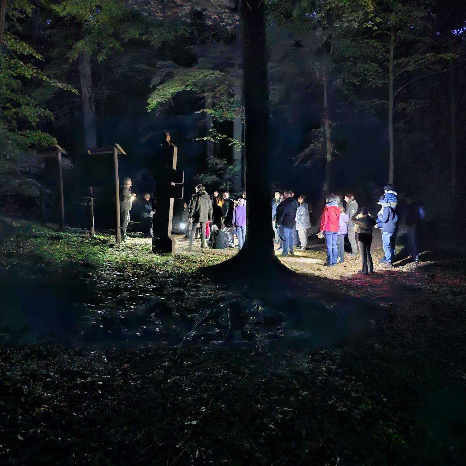 Leśna Noc Muzeów