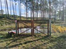 Już 16 marca rusza AKCJA BEZPOŚREDNIA w ochronie przeciwpożarowej w lasach!