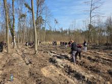 SADZIMY.  RAZEM Z NATURĄ.