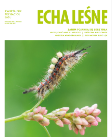 Wiosenne „Echa Leśne” już dostępne!