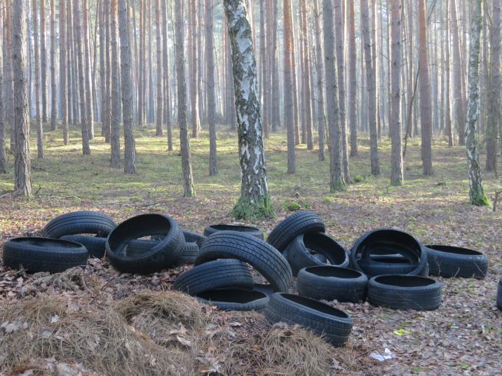 Bardzo duża ilość zużytych opon leży w lesie pod drzewem.