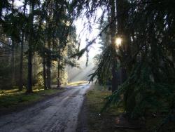 fot&#x2e;&#x20;Paweł&#x20;Gurlaga