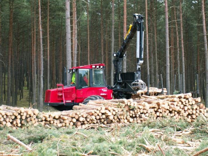Zrywka drewna forworderem (fot. L. Jankowiak)